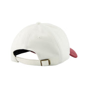 47 CLEAN UP WOOL SUEDE HAT