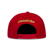 CHICAGO BULLS REVERSE CANDY APPLE SNAPBACK HWC