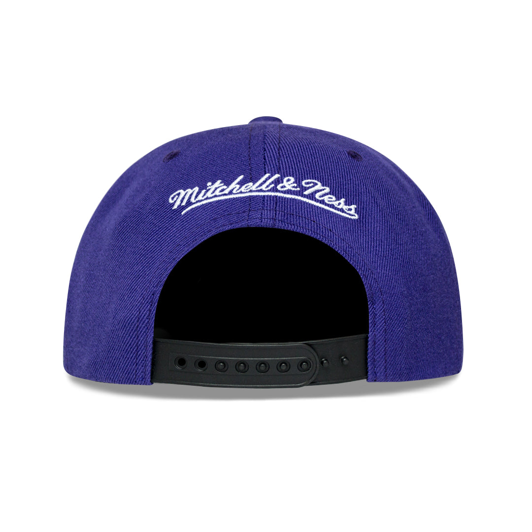 TORONTO RAPTORS 2 TONE CLASSIC HWC SNAPBACK