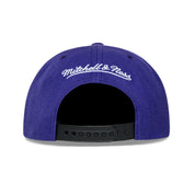 TORONTO RAPTORS 2 TONE CLASSIC HWC SNAPBACK